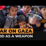 Food as a Weapon of War: Revisiting the Right to Food in Gaza